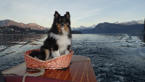 0068 12-12-2015 DLB Rundfahrt, Luzerner Seebecken, Bella