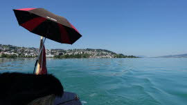 0034 30-07-2020 Richterswil