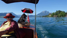 0037 18-08-2019 Meggen, Blick auf Angelfluh und Pilatus