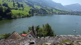 0077 09-08-2020 Insel Schwanau, Aussicht von der Burg