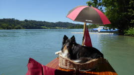 0090 07-07-2020 WC-Halt bei Wohleibrügg, Bella