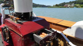 0096 07-07-2020 Wohleibrügg-Mühleberg, Servelats in Backofen