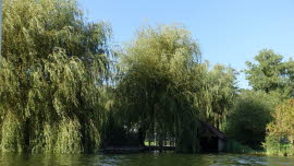 0118 09-08-2020 Rückfahrt nach Steinen