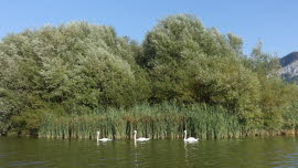 0120 09-08-2020 Rückfahrt nach Steinen